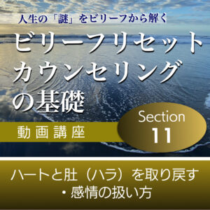 ハートと肚（ハラ）を取り戻す・感情の扱い方 【ビリーフリセット・カウンセリングの基礎】Section11単品