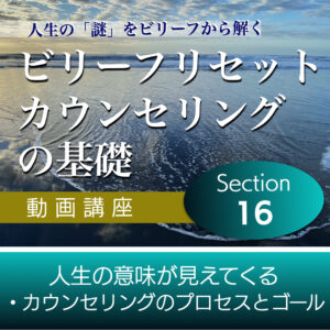 人生の意味が見えてくる・カウンセリングのプロセスとゴール 【ビリーフリセット・カウンセリングの基礎】Section16単品