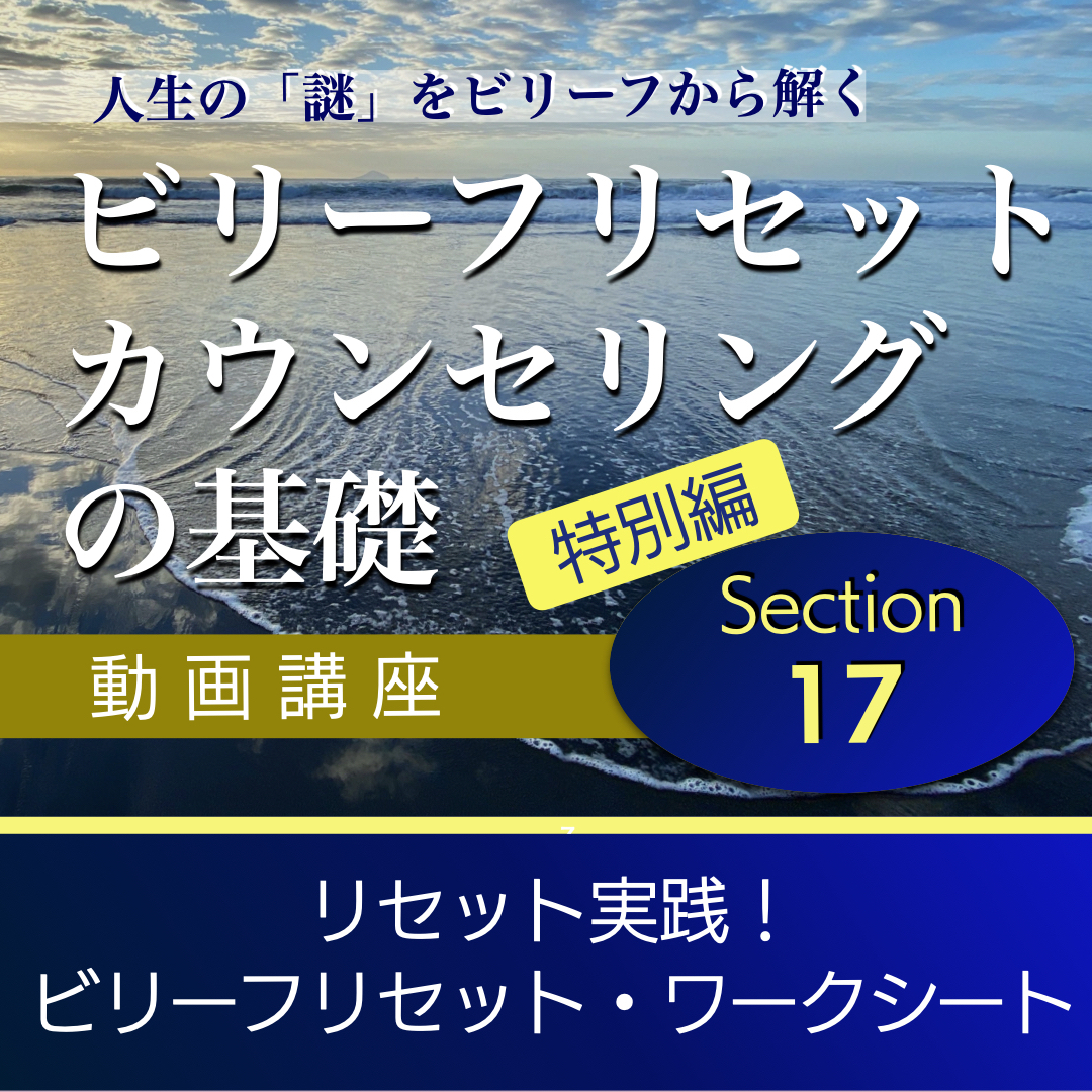 ★単品販売なし★リセット実践!ビリーフリセット・ワークシート 【ビリーフリセット・カウンセリングの基礎】Section17 特別編